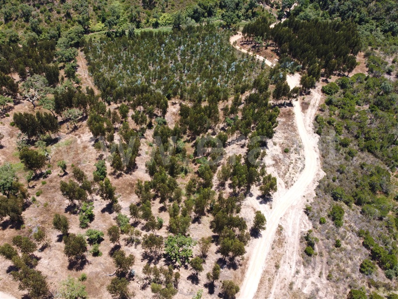 Herdade  Odemira, Relíquias - 1181719 - 4