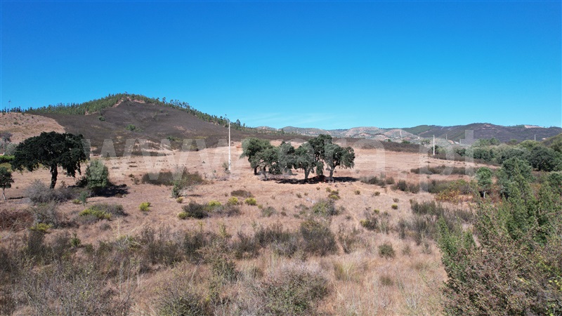 Herdade  Odemira, Relva Grande - 1270733 - 22