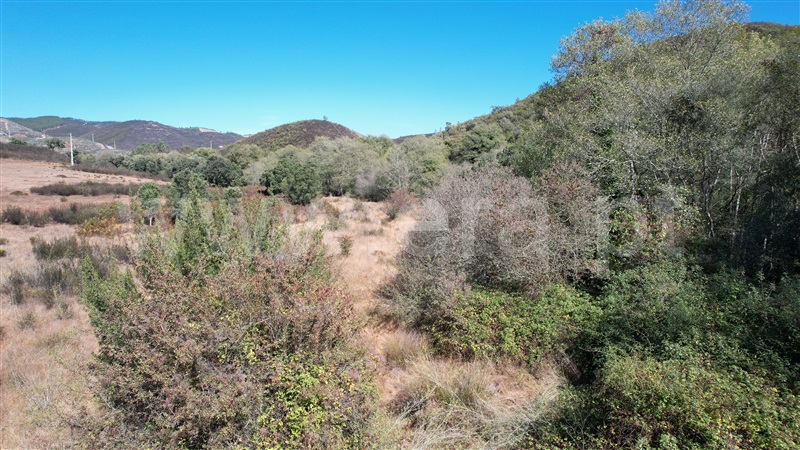 Herdade  Odemira, Relva Grande - 1270733 - 23