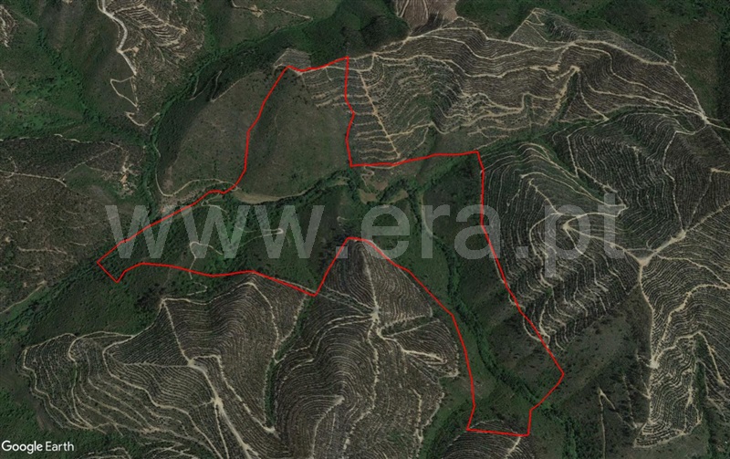 Herdade  Odemira, Relva Grande - 1280110 - 1