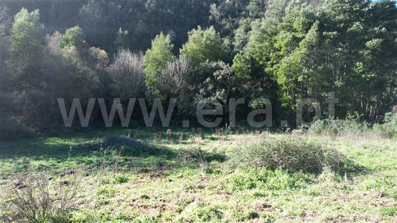 Herdade  Odemira, Relva Grande - 1280110 - 2