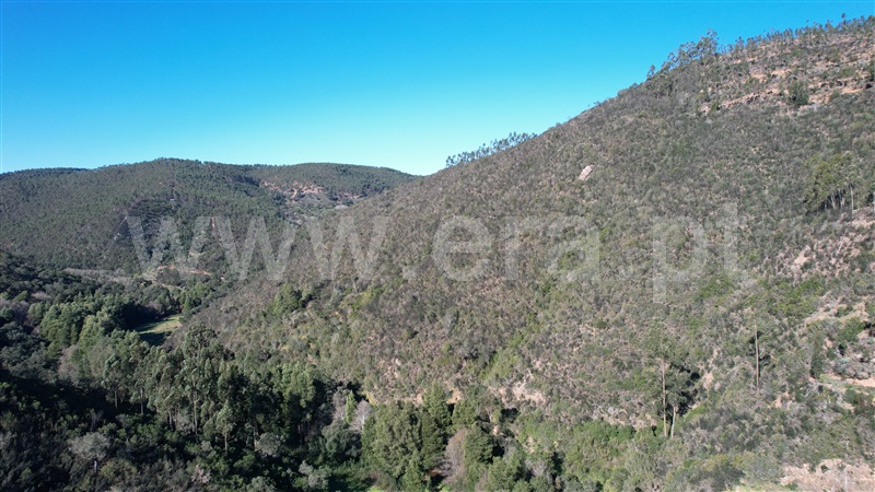 Herdade  Odemira, Relva Grande - 1280110 - 5