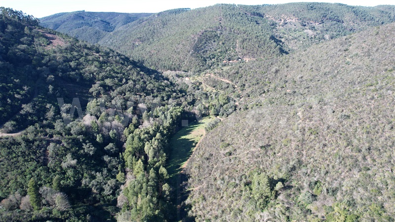 Herdade  Odemira, Relva Grande - 1280110 - 6