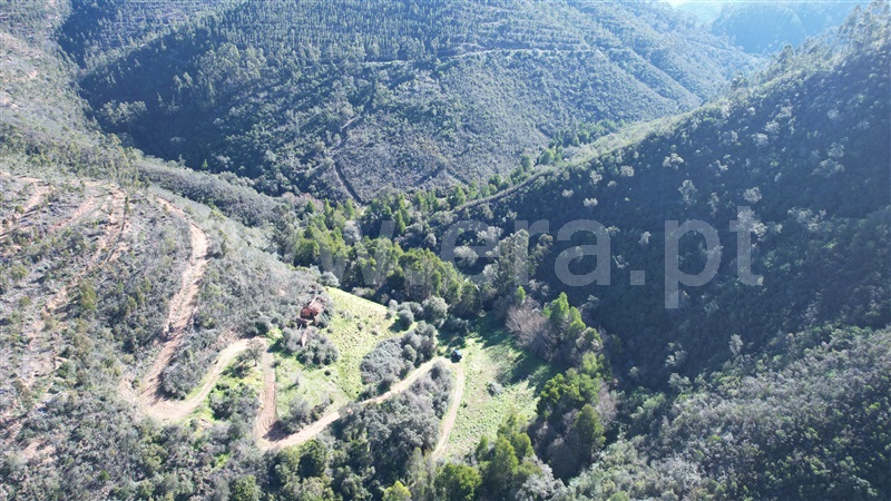 Herdade  Odemira, Relva Grande - 1280110 - 7
