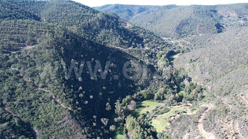 Herdade  Odemira, Relva Grande - 1280110 - 10