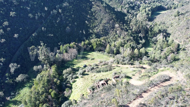 Herdade  Odemira, Relva Grande - 1280110 - 11