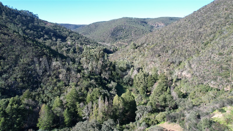 Herdade  Odemira, Relva Grande - 1280110 - 14
