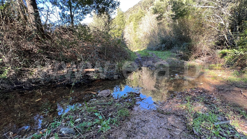 Herdade  Odemira, Relva Grande - 1280110 - 15