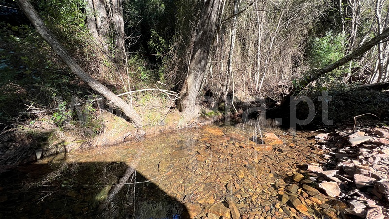 Herdade  Odemira, Relva Grande - 1280110 - 18