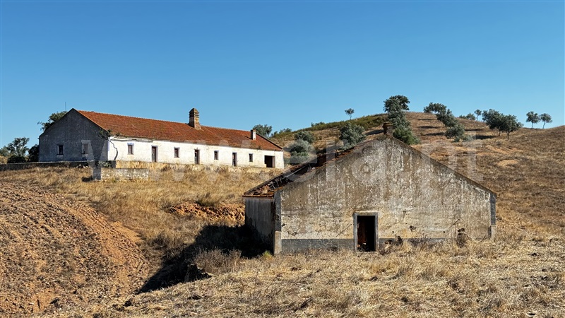 Herdade / Odemira, Saboia