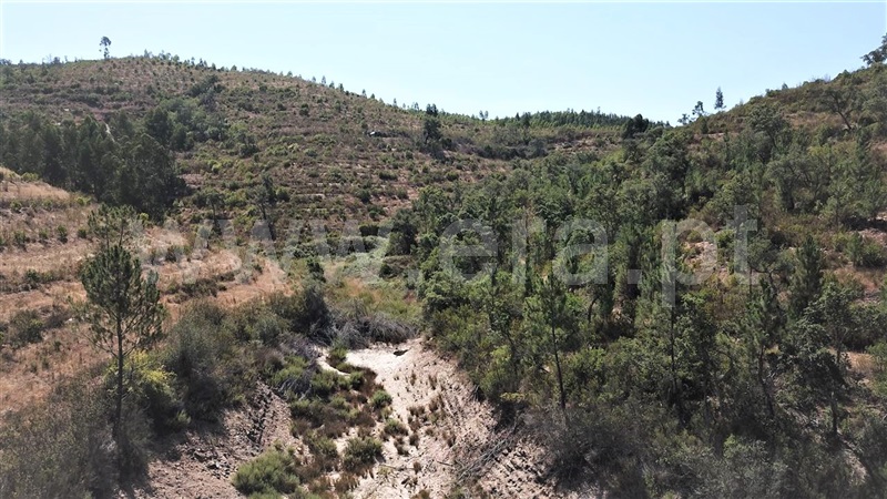 Herdade  Odemira, Santa Clara-á-Velha - 1106337 - 7