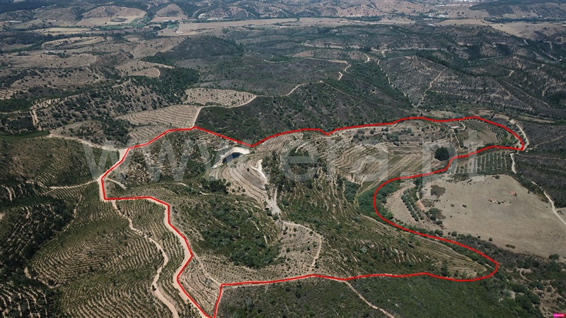 Herdade  Odemira, Santa Clara-á-Velha - 1106337 - 2