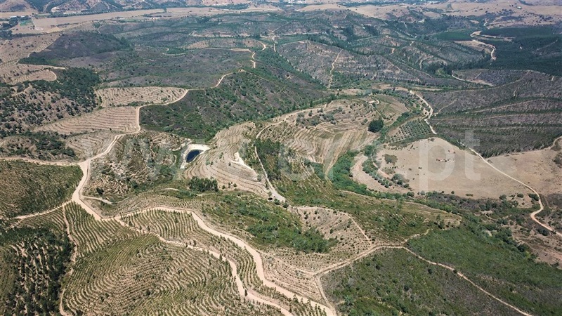 Herdade  Odemira, Santa Clara-á-Velha - 1106337 - 10