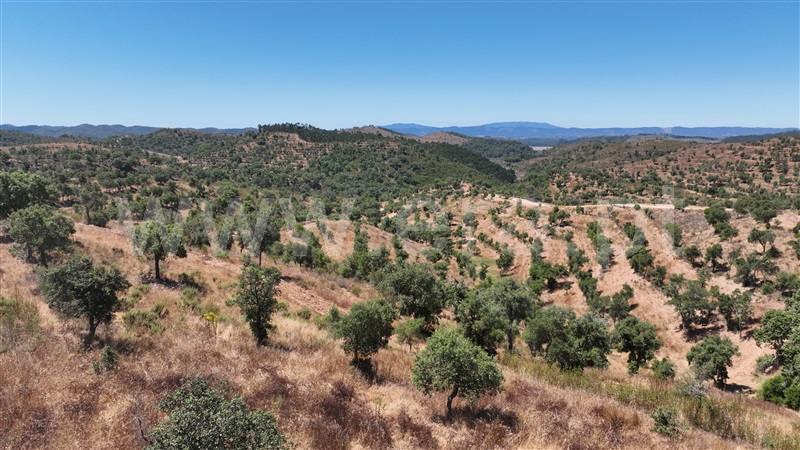 Herdade  Odemira, Santa Clara-a-Velha - 1478727 - 10