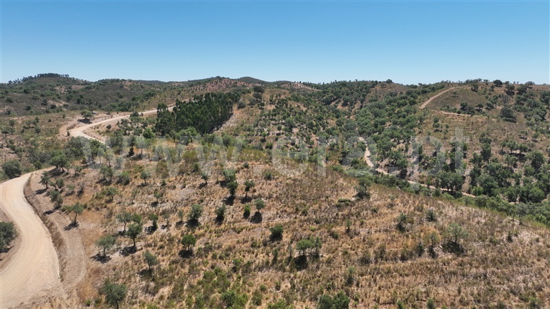 Herdade  Odemira, Santa Clara-a-Velha - 1478727 - 11