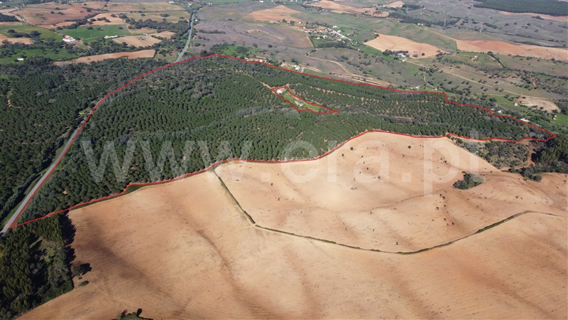 Herdade / Odemira, São Luís