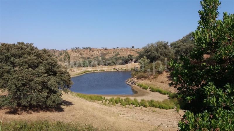 Herdade  Odemira, São Martinho das Amoreiras - 832511 - 2