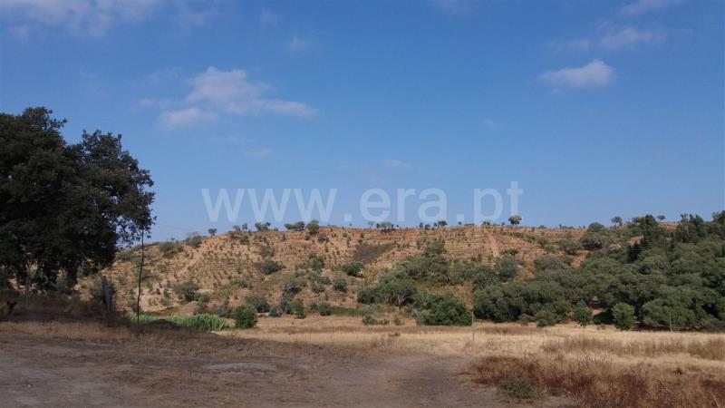 Herdade  Odemira, São Martinho das Amoreiras - 832511 - 3