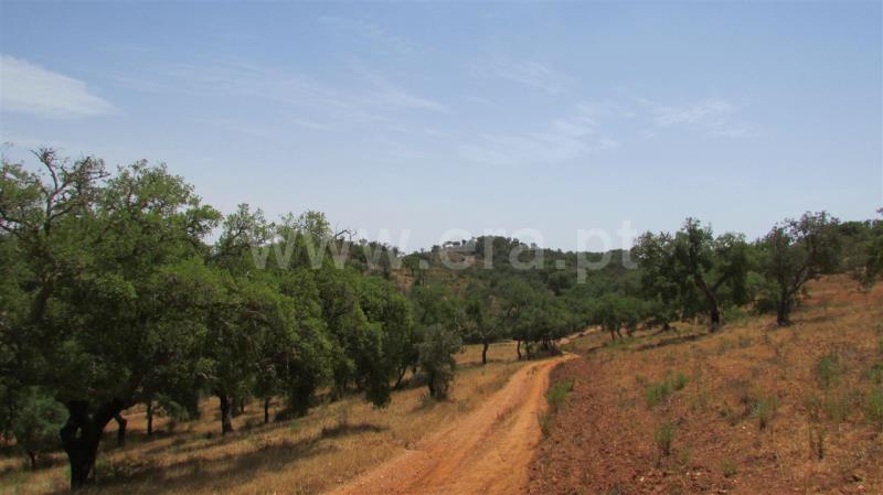 Herdade  Odemira, São Martinho das Amoreiras - 832511 - 11