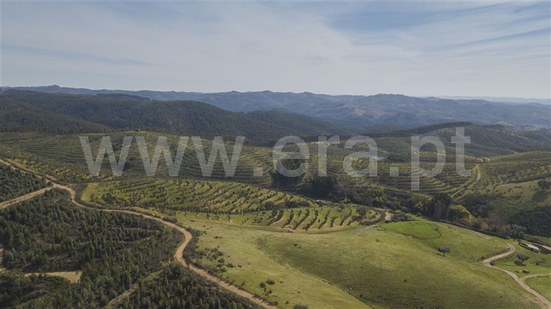 Herdade  Odemira, São Martinho das Amoreiras - 983913 - 3