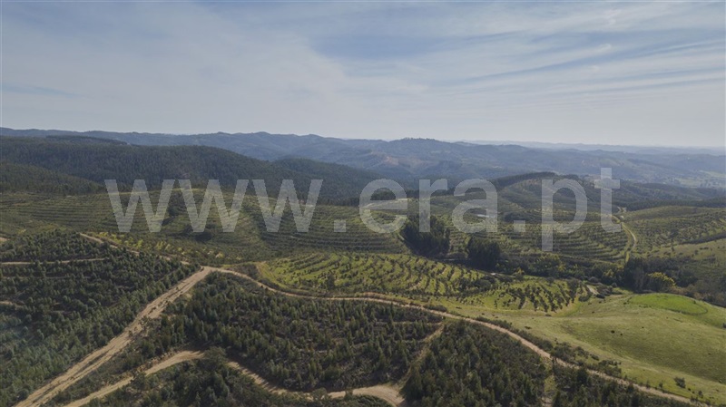 Herdade  Odemira, São Martinho das Amoreiras - 983913 - 6