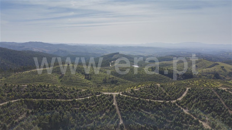 Herdade  Odemira, São Martinho das Amoreiras - 983913 - 7
