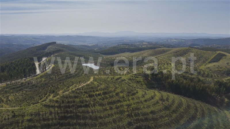 Herdade  Odemira, São Martinho das Amoreiras - 983913 - 8