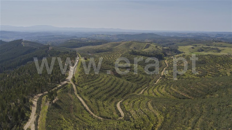 Herdade  Odemira, São Martinho das Amoreiras - 983913 - 9