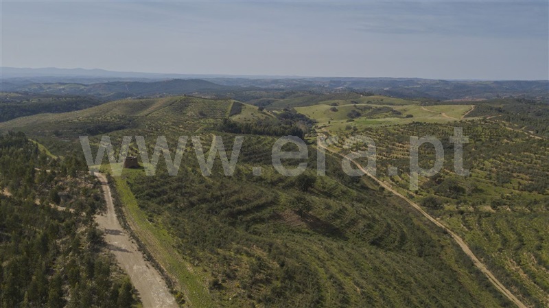 Herdade  Odemira, São Martinho das Amoreiras - 983913 - 10