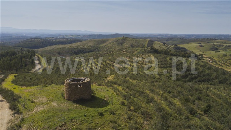Herdade / Odemira, São Martinho das Amoreiras