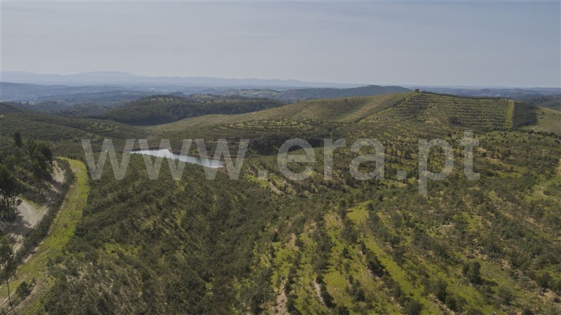 Herdade  Odemira, São Martinho das Amoreiras - 983913 - 4
