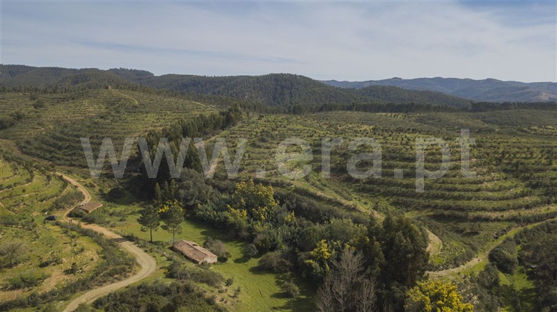 Herdade  Odemira, São Martinho das Amoreiras - 983913 - 12