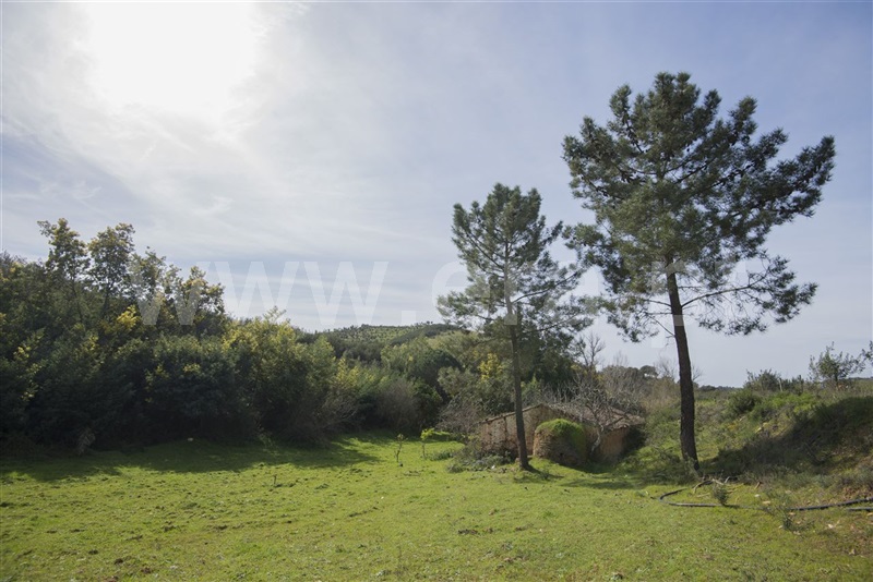 Herdade  Odemira, São Martinho das Amoreiras - 983913 - 16