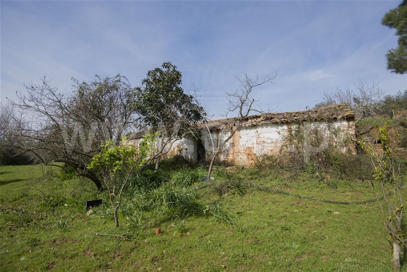 Herdade  Odemira, São Martinho das Amoreiras - 983913 - 5