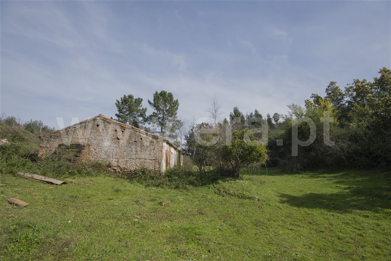 Herdade  Odemira, São Martinho das Amoreiras - 983913 - 17