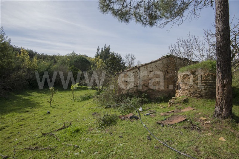Herdade  Odemira, São Martinho das Amoreiras - 983913 - 19