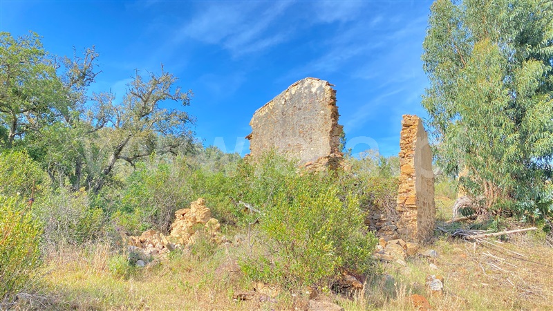 Herdade / Odemira, São Teotónio