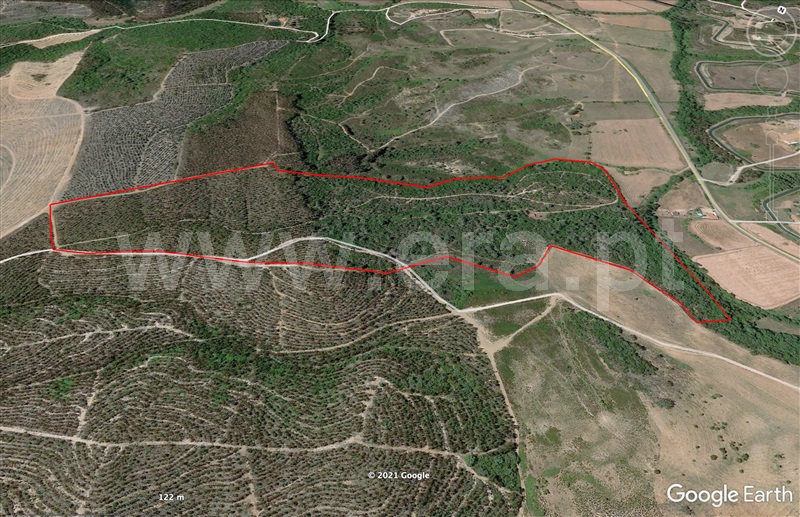 Herdade  Odemira, São Teotónio - 1165808 - 12