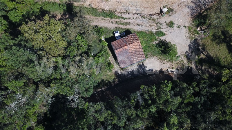Herdade / Odemira, São Teotónio