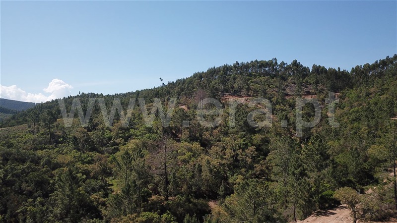 Herdade  Odemira, São Teotónio - 1165808 - 17