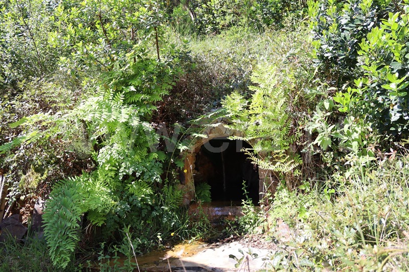 Herdade  Odemira, São Teotónio - 1165808 - 9