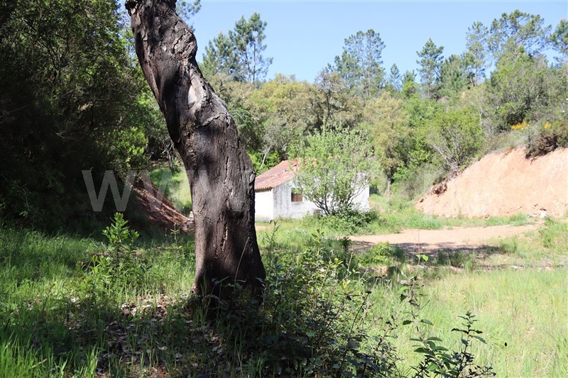 Herdade  Odemira, São Teotónio - 1165808 - 5