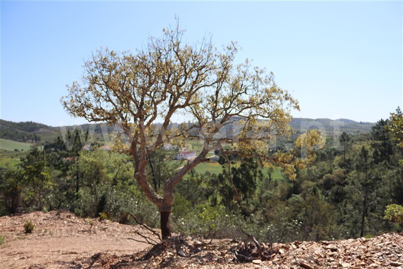 Herdade  Odemira, São Teotónio - 1165808 - 22