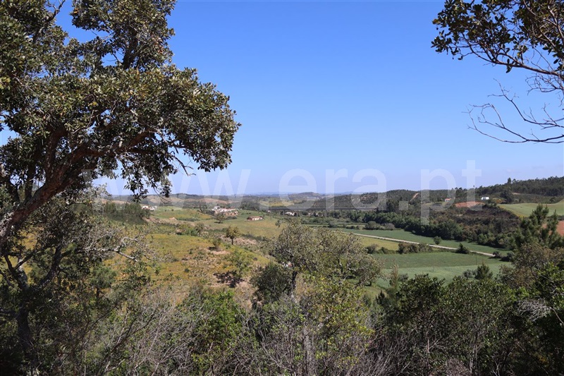 Herdade  Odemira, São Teotónio - 1165808 - 23