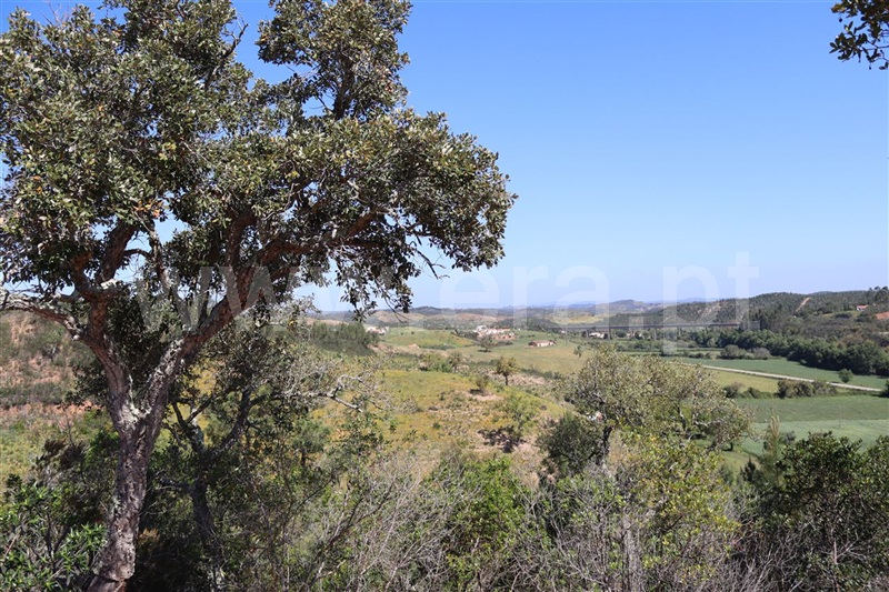 Herdade  Odemira, São Teotónio - 1165808 - 24