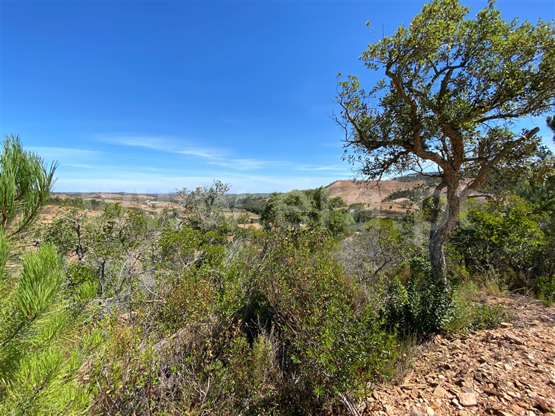 Herdade  Odemira, São Teotónio - 1165808 - 37
