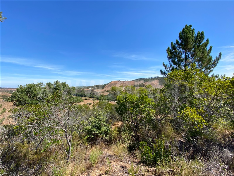 Herdade  Odemira, São Teotónio - 1165808 - 38