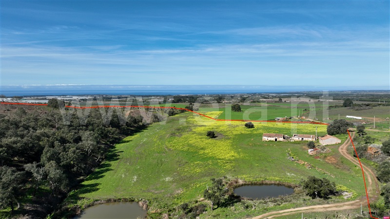 Herdade  Odemira, São Teotónio - 1463317 - 2