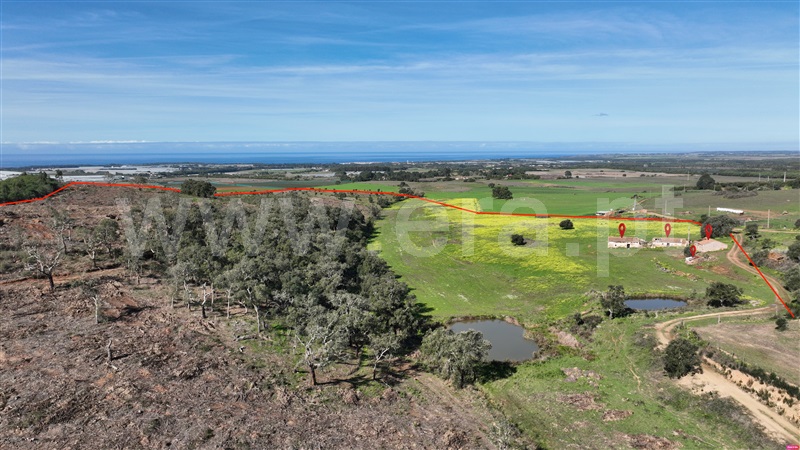 Herdade  Odemira, São Teotónio - 1463317 - 7