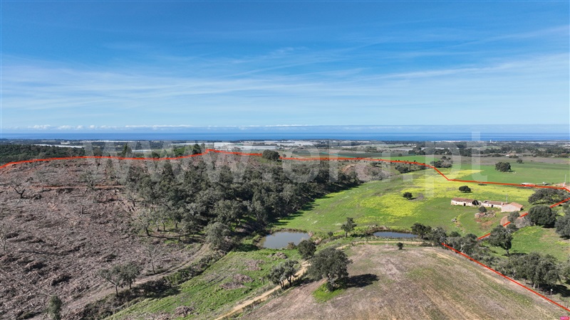 Herdade  Odemira, São Teotónio - 1463317 - 16